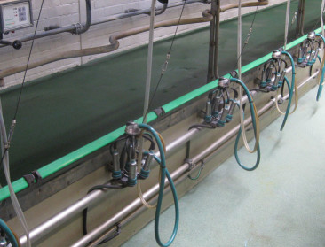 Vlaamse boeren ontvangen crisissteun voor melkreductie