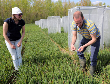 UGent vraagt landbouwprofessionals wat studenten moeten onderzoeken