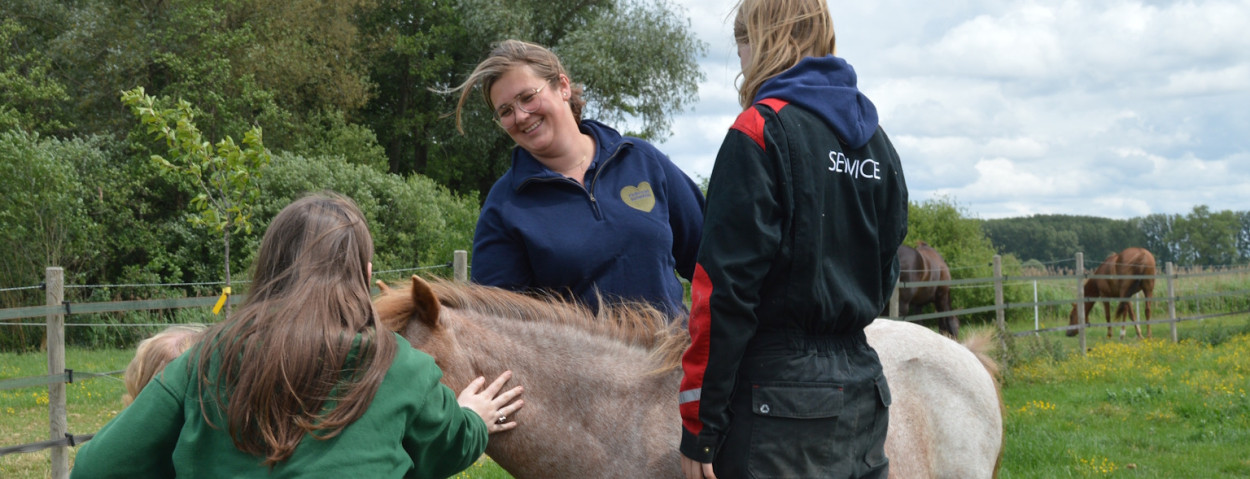zorgboerderij_pony