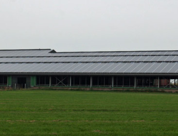 Nederland koppelt groei melkveebedrijven aan grond