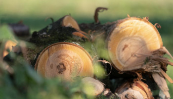 Strengere regels voor grondstoffen biomassa