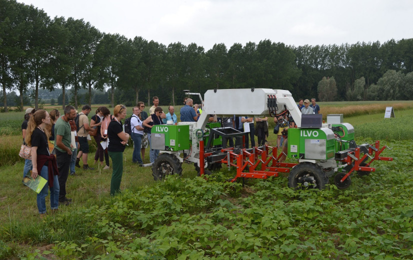 Strokenteelt, oude graansoorten en bodembedekking: ILVO toont ecologische, maar winstgevende landbouwmethoden