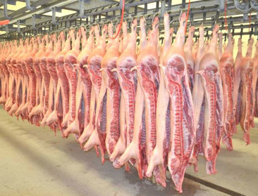 Export van varkensvlees daalde fors in 2022