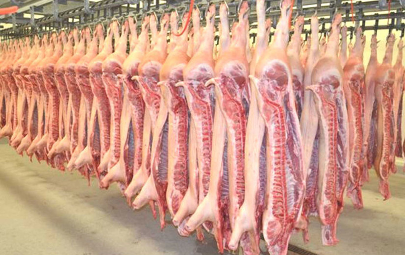 Sterke daling aantal varkensslachtingen, veestapel daalt minder hard