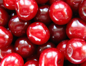 Sint-Truiden pleit voor wet op bestrijding kersenvirus