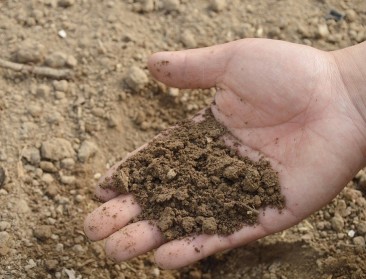 Vlamingen kunnen voortaan bodemkwaliteit op perceelniveau nakijken