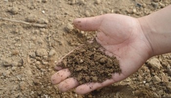 Vlamingen kunnen voortaan bodemkwaliteit op perceelniveau nakijken