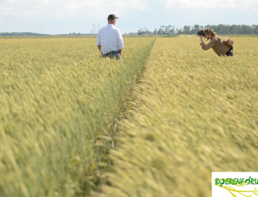 Wervel en Boerenforum laten boeren aan het woord