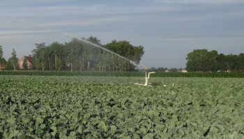 Captatieverbod voor onbevaarbare waterlopen in West-Vlaanderen, uitgezonderd Oostkustpolder
