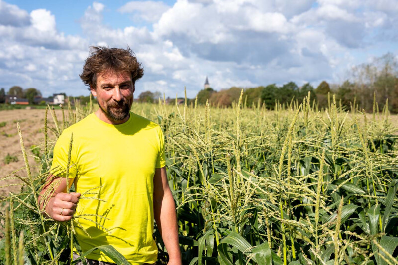 Bart Thoelen van Ommersteyn