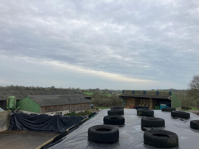 Bert Felis in Frankrijk