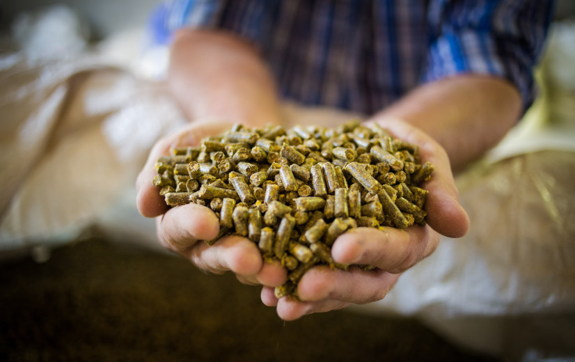 Zorgen bij Deense boeren over methaanremmer Bovaer: Vlaanderen ziet geen gelijkaardige problemen