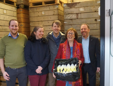 Onderzoek naar bewaring voor nog beter Brabants witloof