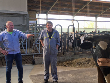 Teambuilding op de boerderij als versterking platteland