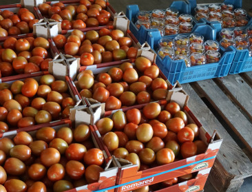 België krijgt meer slagkracht om landbouwers te beschermen tegen internationale oneerlijke handelspraktijken