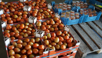 België krijgt meer slagkracht om landbouwers te beschermen tegen internationale oneerlijke handelspraktijken