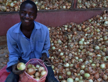 Stijgende voedselprijzen helpen armoede indijken