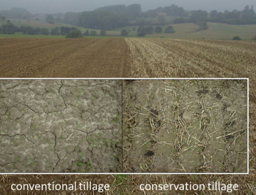 Met goed bodembeheer kan je regenwater beter benutten