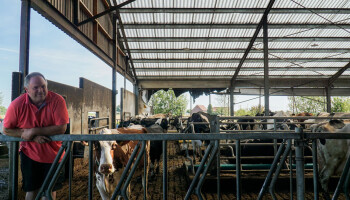 Stalbrand kostte melkveefamilie haar veestapel, stikstofcrisis zet heropbouw daarna zes jaar op pauze