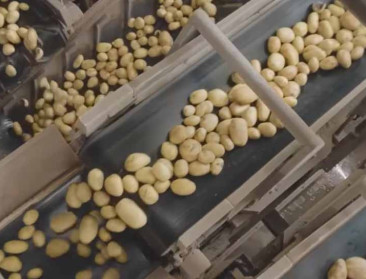 Ook Aviko plant uitbreiding frietproductie in Poperinge