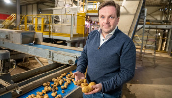 “Nog steeds rek in aardappelindustrie, maar onzekerheid begint te knagen”