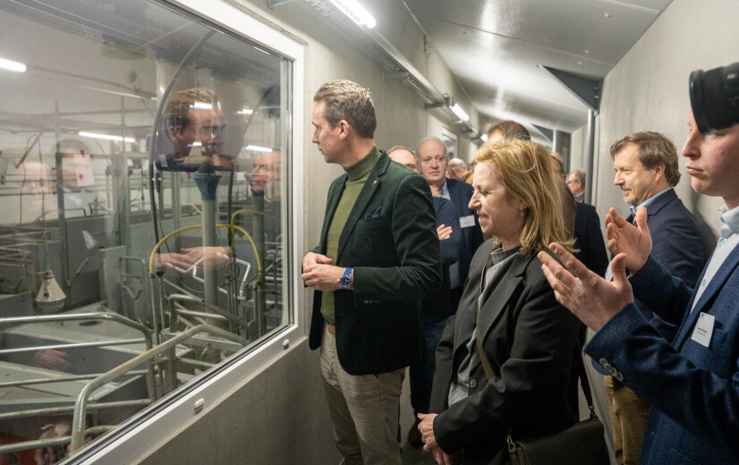 PVL opent nieuwe onderzoeksstal voor zeugen: "Symbolisch voor vertrouwen in sector"