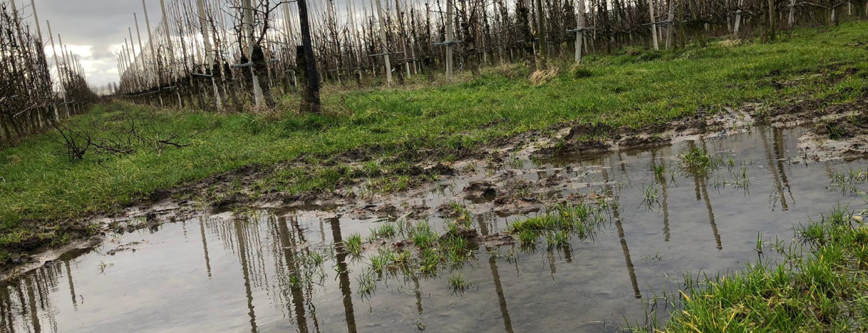brecht geerdens regen