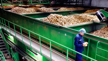 Aardappelfabrikant Agristo opent nieuwe fabriek in Frankrijk: “We mikken op 300.000 ton product per jaar”