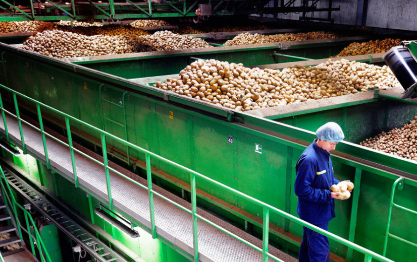 Belgische aardappelverwerkers scheren historisch hoge toppen