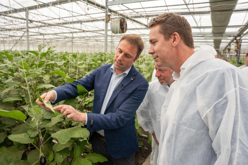 Brouns bij Barvel, VLAM Bioweek4