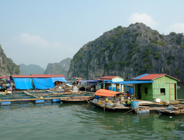 "De vraag is of we straks nog boeren hebben"