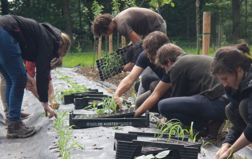 N-VA wil met resolutie onderhandelingspositie van landbouwers in de keten versterken