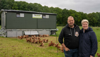 Tok Tok Kod’eitje: Hoe je met 900 kippen de kost kunt verdienen