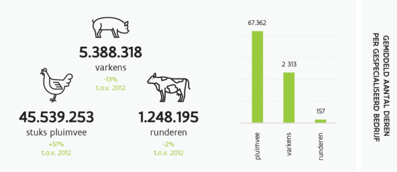 Aantal dieren in 2022_landbouwrapport 2024
