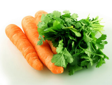 Kinderboerderij in Wilrijk wordt grote stadsboerderij