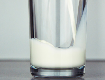 BCZ ziet voorzichtig herstel op de zuivelmarkten ondanks geopolitieke onzekerheid