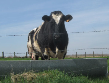 Boeren op de grens kennen EU als lappendeken van landen