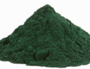 Kan spirulina zich ontpoppen tot vleesvervanger?