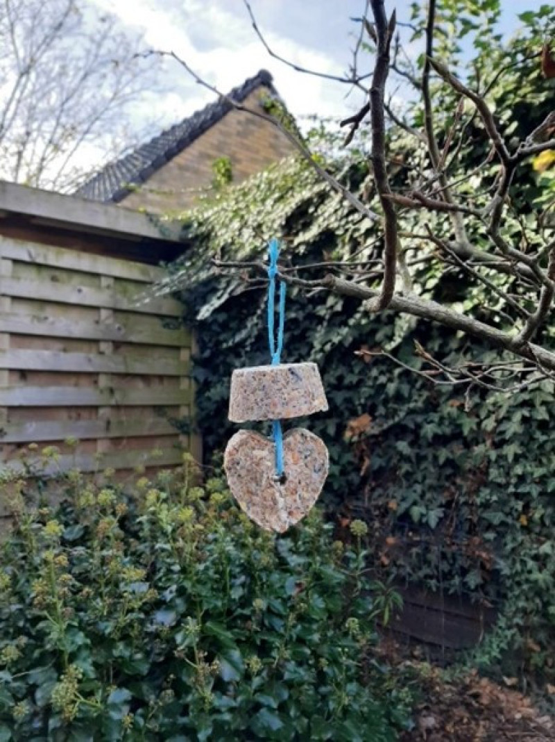 BirdBites2