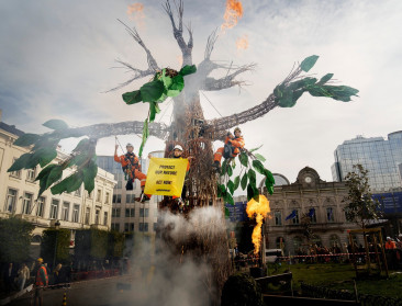 Levensboom moet Europese politici overtuigen om vernieling natuur te stoppen
