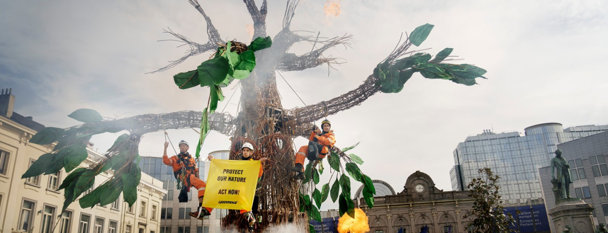 greenpeacelevensboom