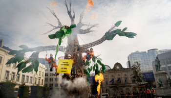 Levensboom moet Europese politici overtuigen om vernieling natuur te stoppen