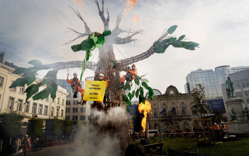 Levensboom moet Europese politici overtuigen om vernieling natuur te stoppen