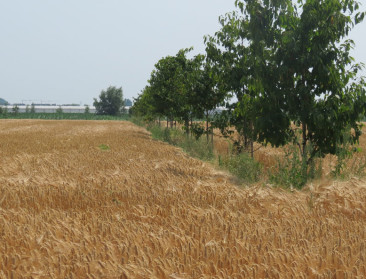 ILVO en UGent ontwikkelen nieuwe methode om milieu-impact van landbouwsystemen te meten
