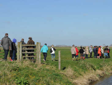Akkoord in dossier bescherming poldergraslanden