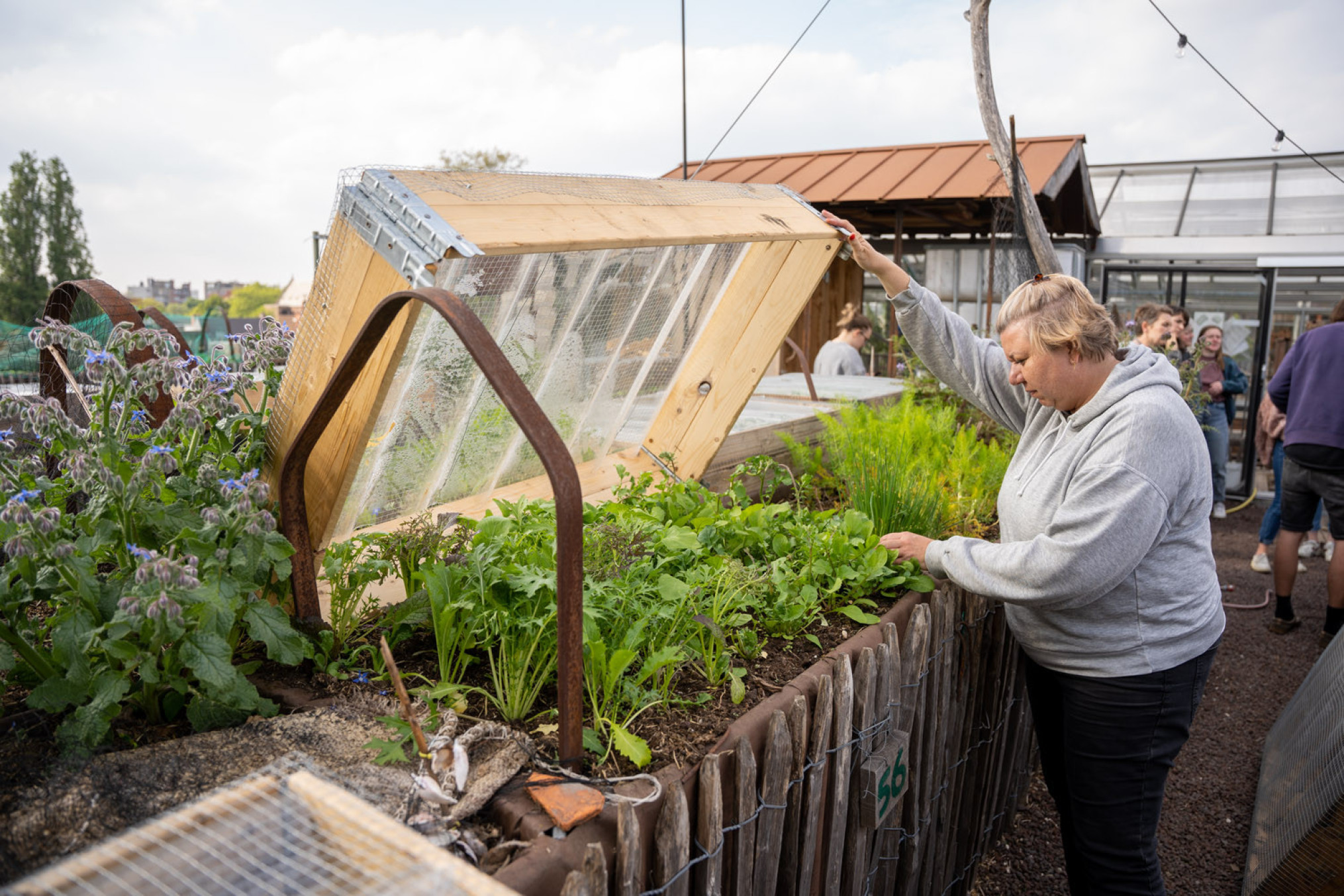 Antwerpse stadsmensen zoeken de rust van tuinieren op