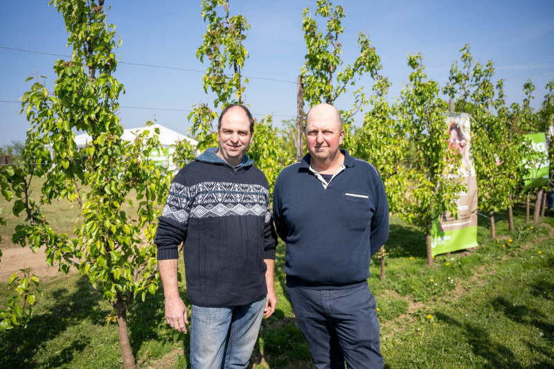 Fruittelers Dirk en Bart Verlinden_Wijngaardberg