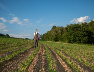 Europees parlement gaat akkoord met een hervorming van het Europees landbouwbeleid