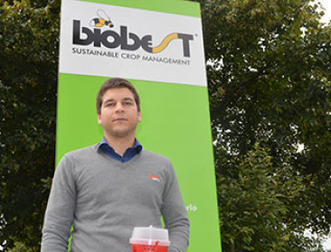 Masterproef verfijnt aanpak fruitvlieg in kersenteelt