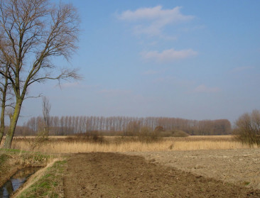 Contouren van nieuwe pachtwet worden steeds duidelijker